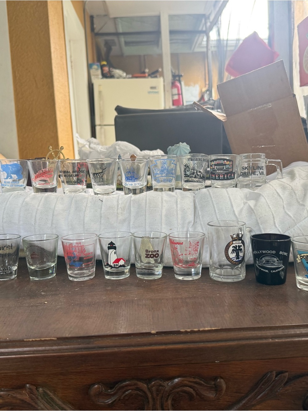 Clear Glass Shot Glass Set - Assorted Souvenir Designs (Clear)